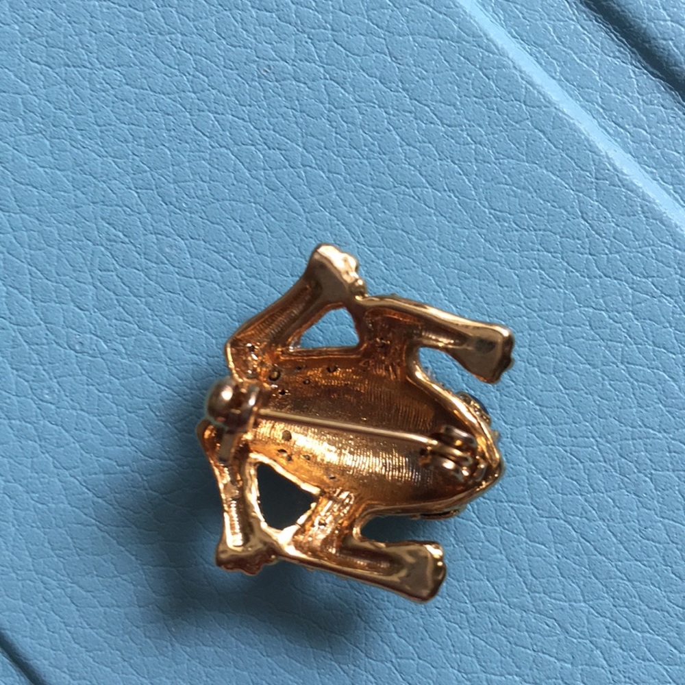 Frog pin - Picture 3 of 3